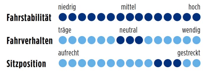 Focus Izalco Team SL 4.0 2014 Punkte