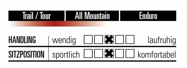   Die gemäßigt sportliche Sitzposition und das ausgewogene Handling machen Lust auf lange Touren. 