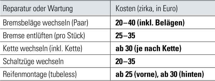 Preisbeispiele für die Reparatur-Arbeiten in Fahrrad-Werkstätten
