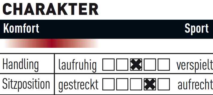   KTM Macina Action 291