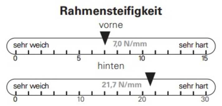 Von BIKE ermittelte Rahmensteifigkeiten: Die Steifigkeit des Propain Spindrift 5 AL ist unauffällig.