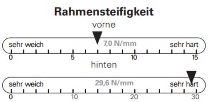 Von BIKE ermittelte Rahmensteifigkeiten: Der Hinterbau des neuen Specialized Status ist besonders steif.
