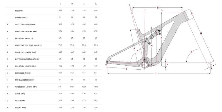 Die Geometrie des Focus Vam² SL