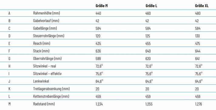   Die Geometrie des Propain Ekano mit 29er-Laufrädern.