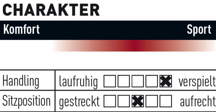   So fährt sich das Rocky Mountain Powerplay C90.