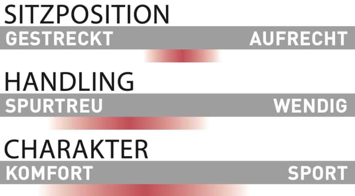 Rotwild R.X 375 Pro - Charakteristik