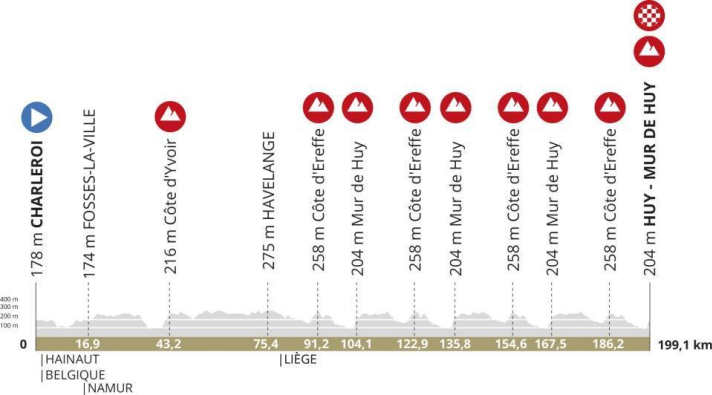 Das Profil von Fleche Wallonne 2024 der Männer