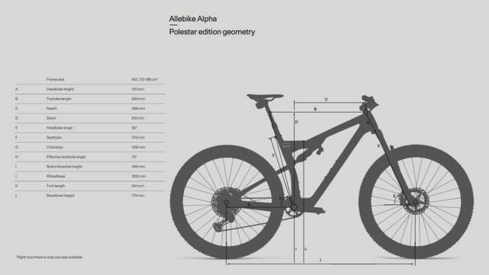 M/L ist die einzige Größe, in der das Allebike Alpha Polestar Edition angeboten wird.
