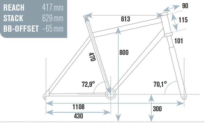   Test 2015 Race-Hardtails: Cube Reaction GTC SL 29