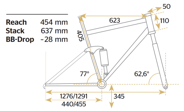 Geometriedaten des Scott Gambler 900 Tuned