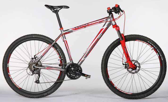   Rex Bergsteiger 6.01