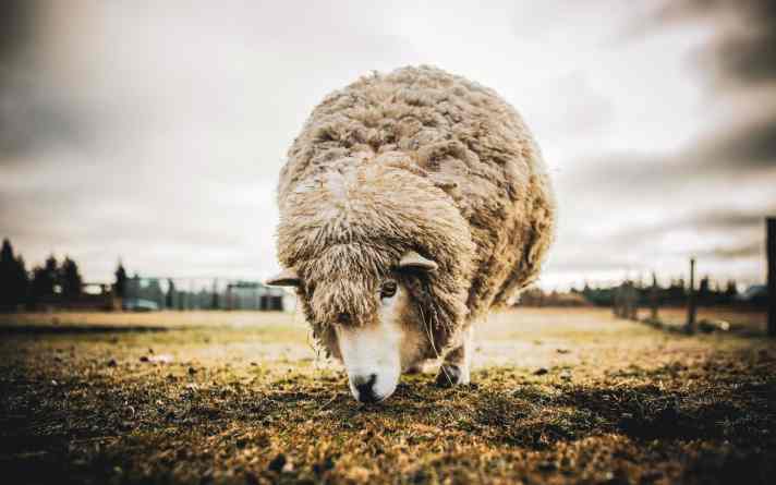 Im Test: 14 Shirts für Männer und Frauen