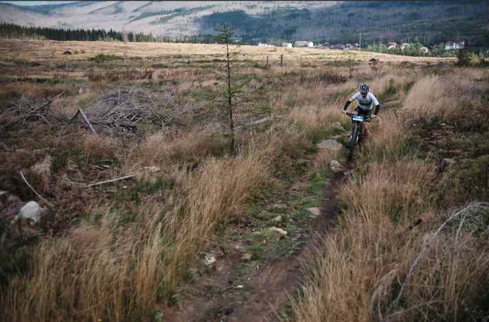 Beim Endurothon in Schierke verlangen nicht nur die Höhenmeter, sondern auch die Trails des Harzes Mountainbikern alles ab.