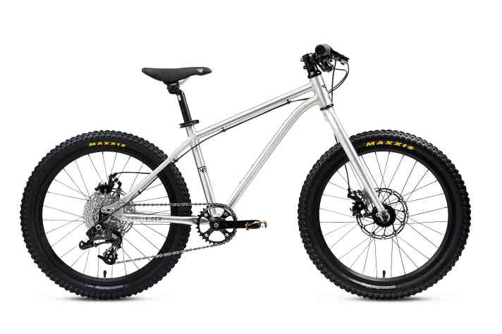 Early Rider Hellion Trail 20"