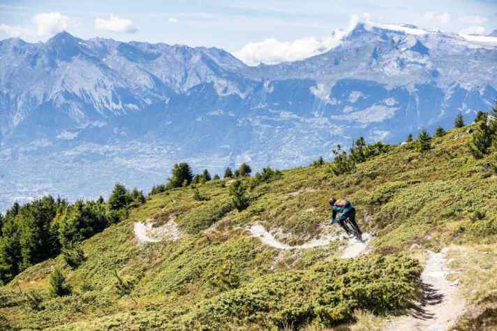   Chalais, Wallis/Schweiz: Der Brasilianer
