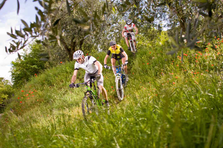   Im Downhill haben die großen Räder die Nase vorn