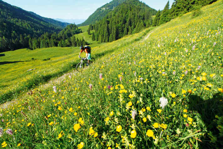   Für Trail-Freunde ein Magnet: das Trockenbachtal.