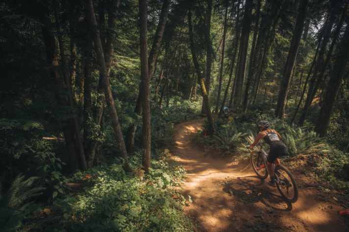 Die Fahrt nach Nanaimo charakterisiert sich durch vielfältige Natur und abwechslungsreiche Streckenführung.