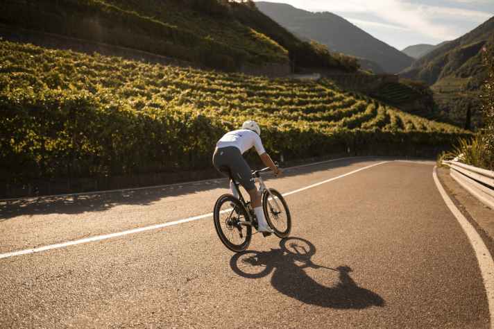 Rebenregion: Auf den Touren rund um Bozen kann man ­begutachten, wo der Wein fürs Abendessen wächst