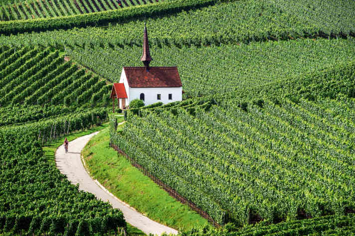 Wärmeinsel: In Deutschlands sonnigster Ecke fühlt sich nicht nur der Wein wohl.