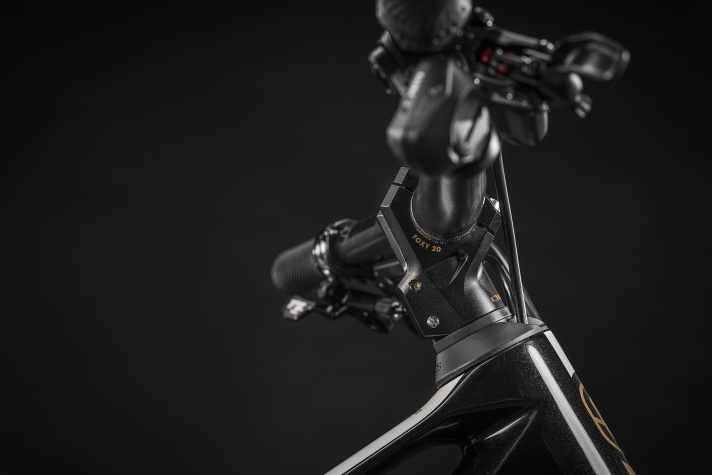 Das Mondraker Fox Carbon Unlimited 20th Anniversary kehrt mit dem kurzen FG10-Vorbau zurück zu seinen Wurzeln.