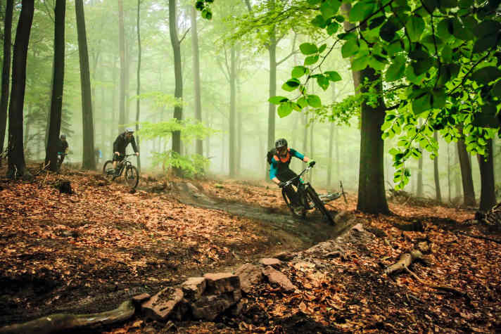 Legal Biken: Hier nahe Heidelberg.