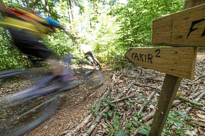 Fakir 1: dunkle Geschichte. Fakir 2: Sternstunde! Grundeigentümer erlaubt den Trail-Bau in bis dahin komplett weglosem Waldhang.