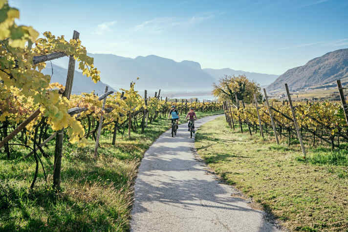 Radeln durch Reben am Kalterer See