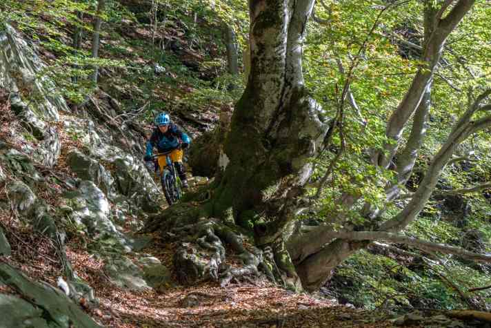 Finale Abfahrt: Auf dem Carbon-Trail von der Alpe di Neggia zum Lago Maggiore hinunter.