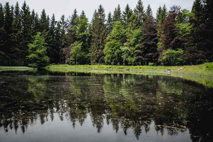 Man glaubt gar nicht, wie kalt so ein kleiner Teich selbst im Sommer sein kann.