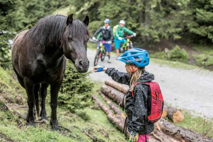 "Papaaa, schau maaal!", flötet Milla, und schmiegt sich schon mit verträumter Miene an das Pony, das malmend am Wegesrand steht. Die Laune meiner Tochter ist gerettet.