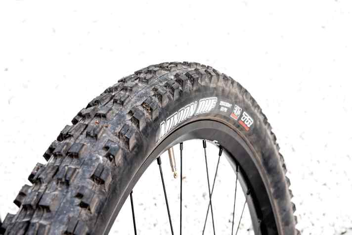   Maxxis Shorty 29 x 2.5"