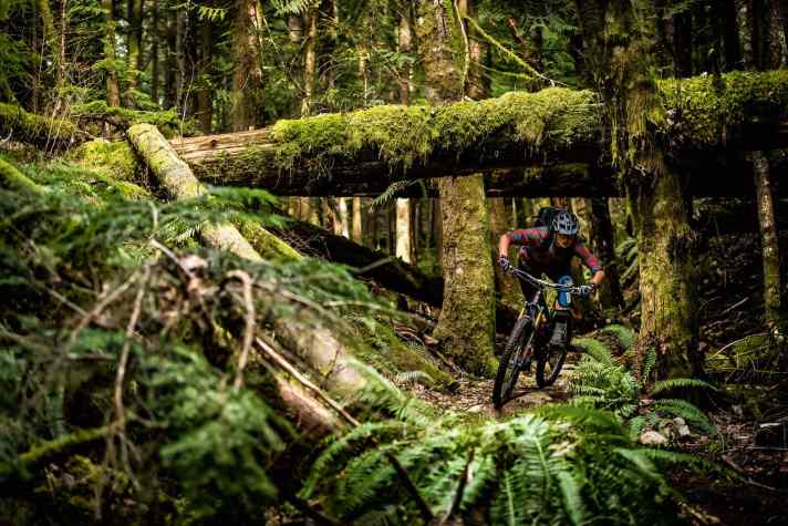   Alle reden immer nur von Whistler, doch das eigentliche Trail-Paradies heißt Squamish. Da ist sich Steffi Marth sicher. Durch den nahen Pazifik ist das Klima selbst im Winter milde.