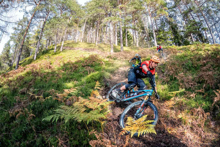   Kurven wie ein Profi: Surf-Feeling auf dem Lost-Goat-Trail. Hier racten 2018 die Athleten der Enduro World Series.