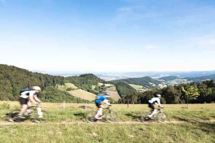   Der Kandelhöhenweg verspricht vier Stunden Fahrspaß auf dem Mountainbike.
