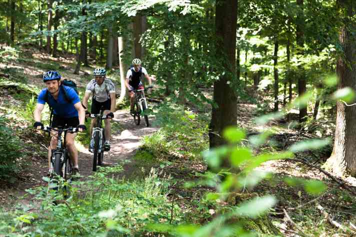   Im Pfälzerwald nutzen Mountainbiker und Wanderer die Wege und Trails gemeinsam.