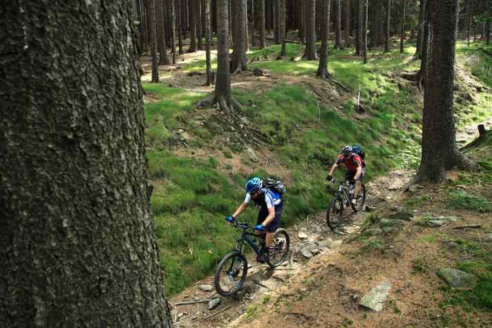   Typischer MTB-Trail im Oberpfälzer Wald.
