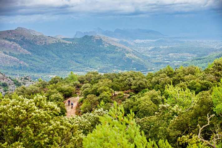   Mallorca