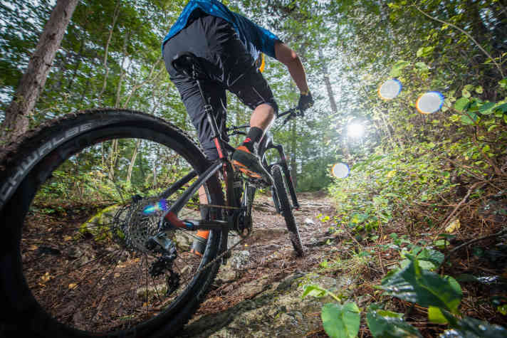   Kletter-Gene wie ein Race-Fully: Touren mit vielen Höhenmetern sind wie gemacht für das Decree.