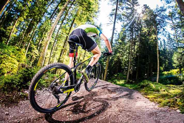 Hardtail