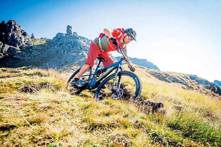 All Mountain Bike