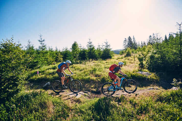   Trail-Center Rabenberg: ein Stückchen Chilcotins im Erzgebirge.