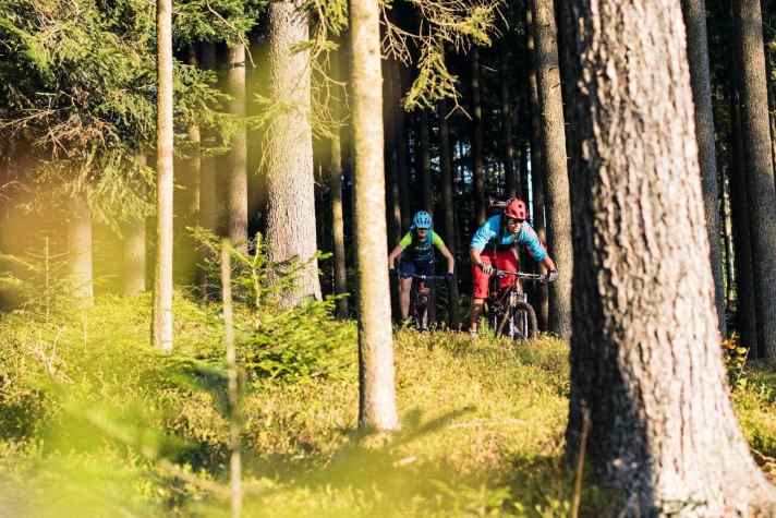   Trails für Singles – Das Ziel ist ein Hotel für Singles. Dahin führt ein langer, wilder Mix aus Waldwegen.