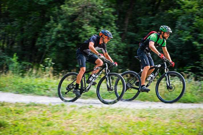 Kategorie Hardtails