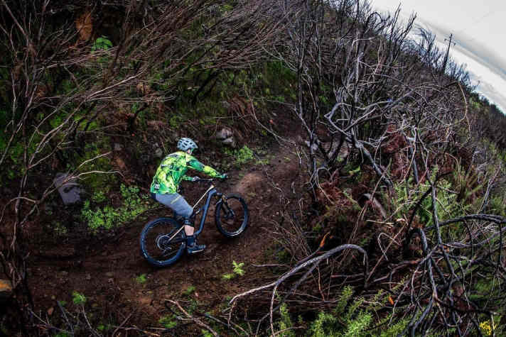   Um das Bike auch für den härteren Traileinsatz zu wappnen, hat man bei Canyon die internen Prüfstandards für den Rahmen deutlich erhöht. Die Haltbarkeit soll im Vergleich zum Vorgänger deutlich verbessert worden sein.