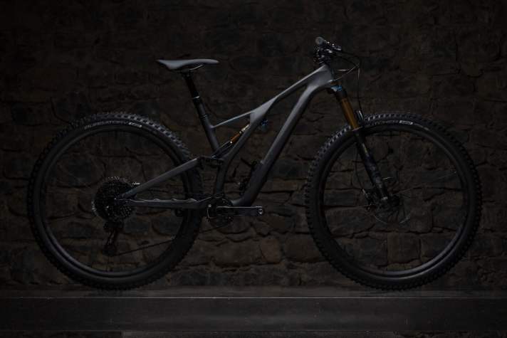   Das Stumpjumper ST richtet sich an Trailbiker. Das Fahrwerk des 29-Zöllers bietet am Heck 120 und an der Front 130 Millimeter Federweg.
