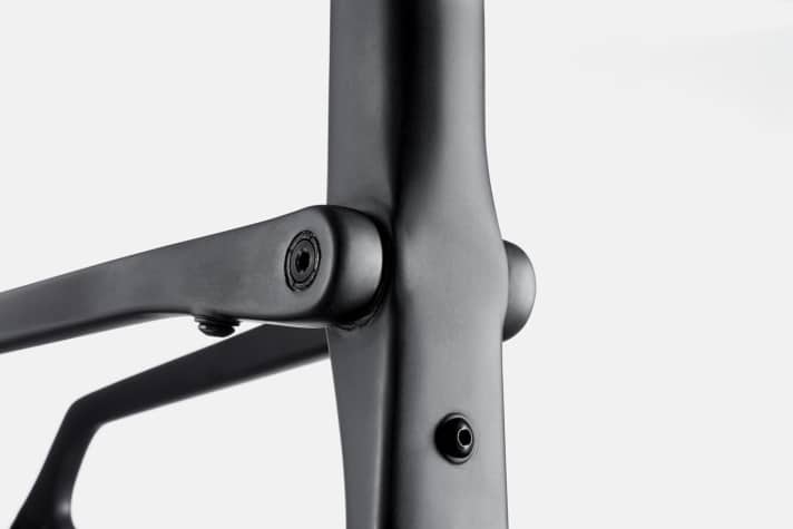   Kingpin nennt Cannondale die beweglich am Sitzrohr gelagerten Sitzstreben, die für Sitzkomfort sorgen. 
