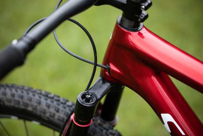   Am Vollcarbon-Rahmen spart Specialized 40 Gramm im Vergleich zum Vorgänger.
