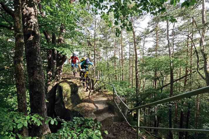   Durch den Pfälzerwald mit dem E-Mountainbike