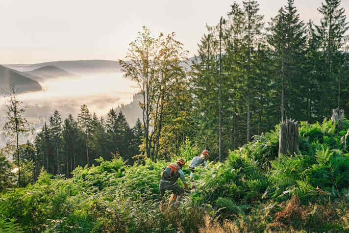 Schwarzwald | Baiersbronn